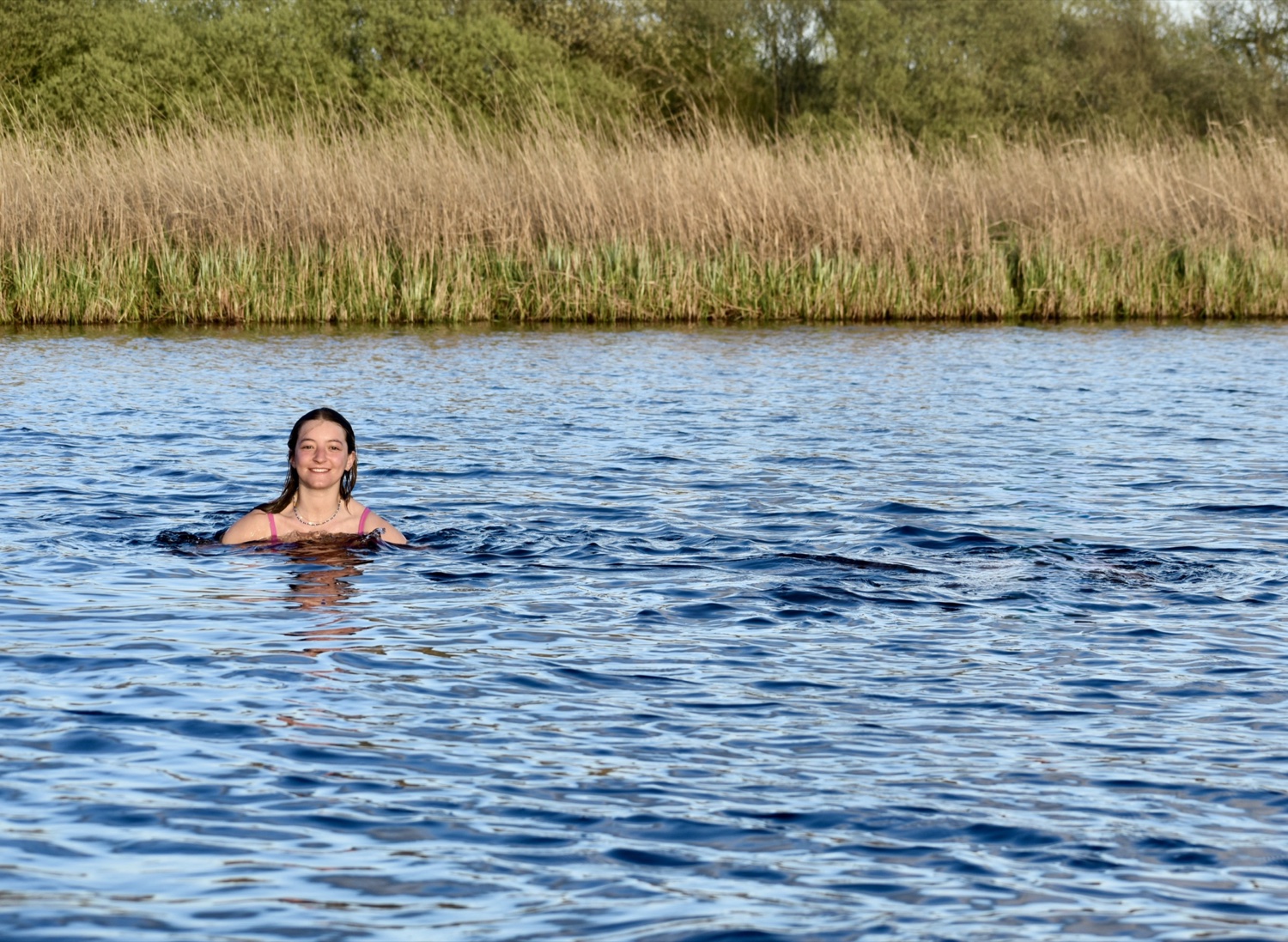 Rosie swimming in the lake